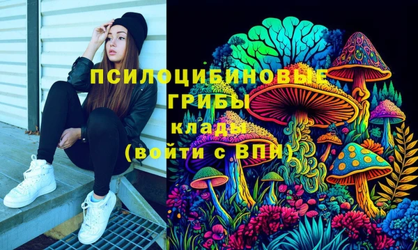 мдпв Арсеньев