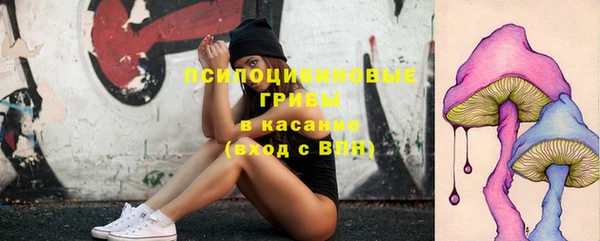 мдпв Арсеньев
