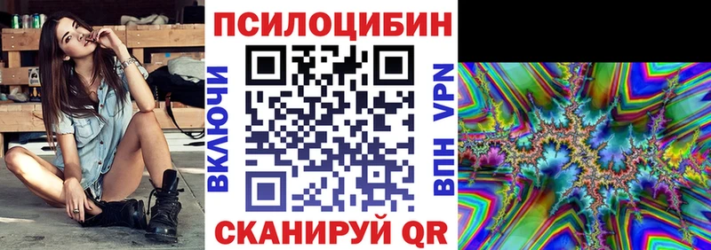 купить наркотик Черкесск даркнет клад Псилоцибиновые грибы Psilocybe